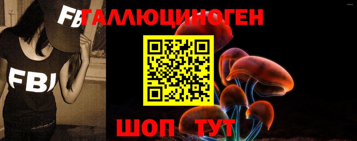 Славянск-на-Кубани  как найти   Галлюциногенные грибы мицелий  Вход с VPN  Галлюциногенные грибы Cubensis 