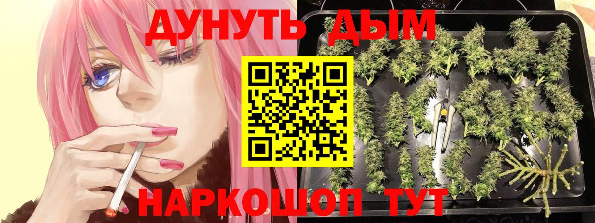 Бошки Шишки Amnesia Славянск-на-Кубани